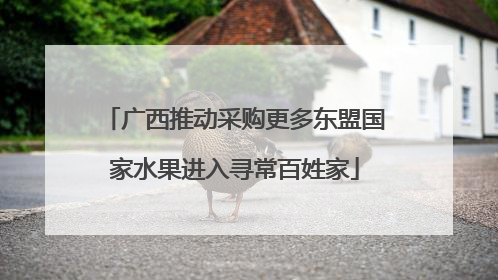 广西推动采购更多东盟国家水果进入寻常百姓家
