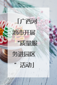 广西河池市开展“质量服务进园区”活动