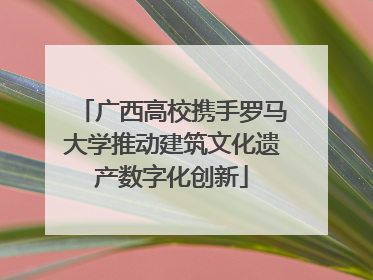 广西高校携手罗马大学推动建筑文化遗产数字化创新