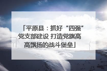 平原县：抓好“四强”党支部建设 打造党旗高高飘扬的战斗堡垒