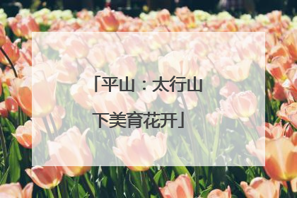 平山：太行山下美育花开