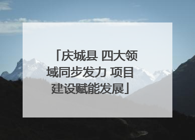 庆城县 四大领域同步发力 项目建设赋能发展