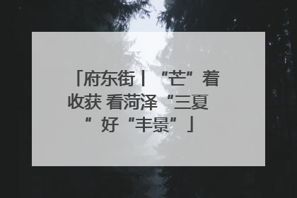 府东街丨“芒”着收获 看菏泽“三夏”好“丰景”