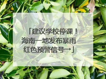 建议学校停课！海南一地发布暴雨红色预警信号→