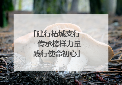 建行柘城支行——传承榜样力量 践行使命初心