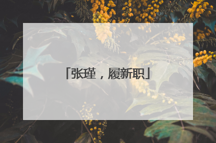 张瑾，履新职