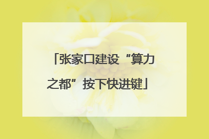 张家口建设“算力之都”按下快进键