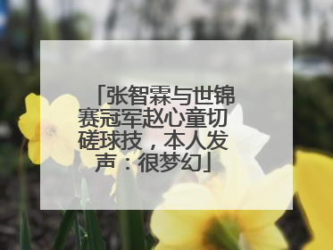 张智霖与世锦赛冠军赵心童切磋球技，本人发声：很梦幻