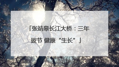 张靖皋长江大桥：三年拔节 健康“生长”