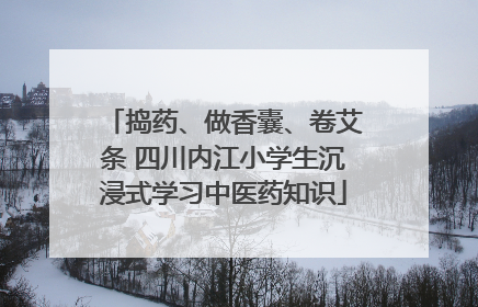 捣药、做香囊、卷艾条 四川内江小学生沉浸式学习中医药知识