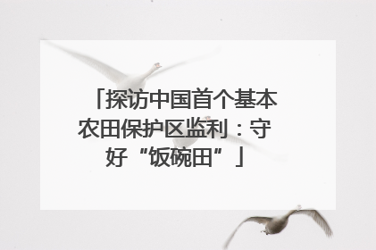 探访中国首个基本农田保护区监利：守好“饭碗田”