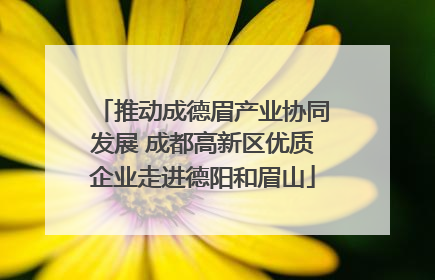 推动成德眉产业协同发展 成都高新区优质企业走进德阳和眉山