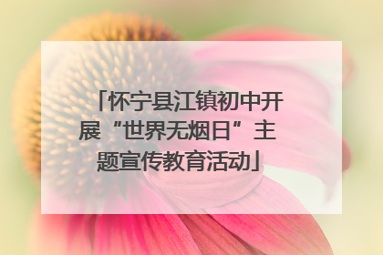 怀宁县江镇初中开展“世界无烟日”主题宣传教育活动