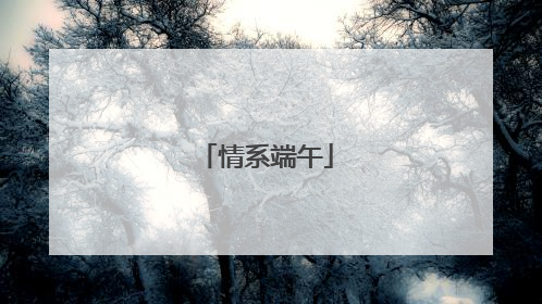 情系端午