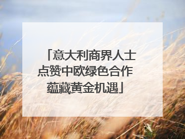 意大利商界人士点赞中欧绿色合作蕴藏黄金机遇