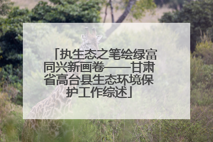执生态之笔绘绿富同兴新画卷——甘肃省高台县生态环境保护工作综述