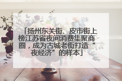 扬州东关街、皮市街上榜江苏省夜间消费集聚商圈，成为古城老街打造“夜经济”的样本