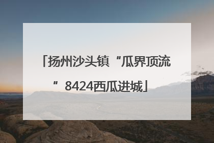 扬州沙头镇“瓜界顶流”8424西瓜进城