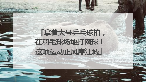 拿着大号乒乓球拍，在羽毛球场地打网球！这项运动正风靡江城