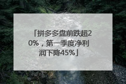 拼多多盘前跌超20%，第一季度净利润下降45%