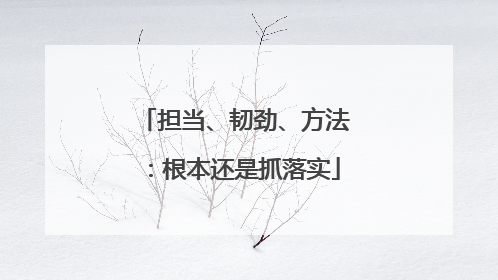 担当、韧劲、方法：根本还是抓落实