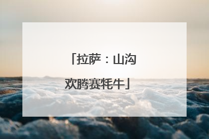 拉萨：山沟欢腾赛牦牛