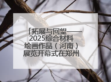 拓展与回望——2025综合材料绘画作品（河南）展览开幕式在郑州美术馆举办