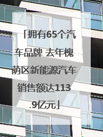 拥有65个汽车品牌 去年槐荫区新能源汽车销售额达113.9亿元