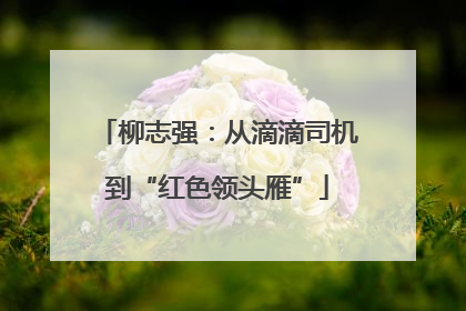 柳志强：从滴滴司机到“红色领头雁”