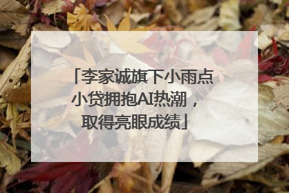 李家诚旗下小雨点小贷拥抱AI热潮，取得亮眼成绩