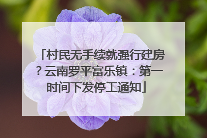 村民无手续就强行建房？云南罗平富乐镇：第一时间下发停工通知