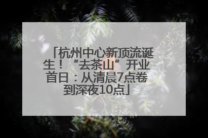杭州中心新顶流诞生！“去茶山”开业首日：从清晨7点卷到深夜10点