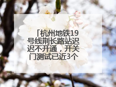 杭州地铁19号线荆长路站迟迟不开通，开关门测试已近3个月？回应来了