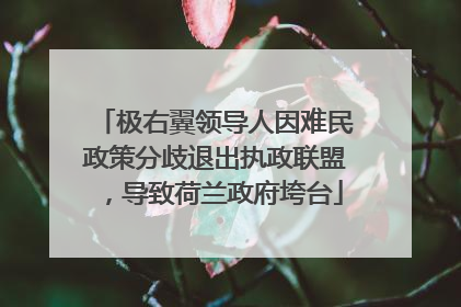 极右翼领导人因难民政策分歧退出执政联盟，导致荷兰政府垮台