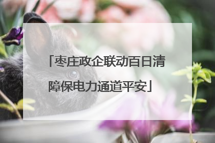 枣庄政企联动百日清障保电力通道平安