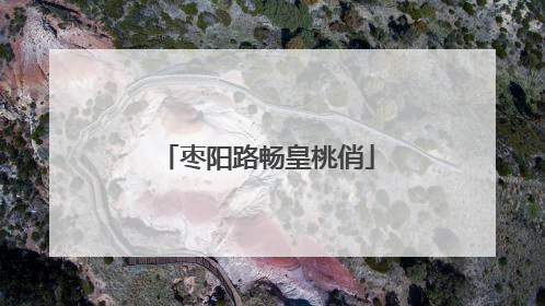 枣阳路畅皇桃俏