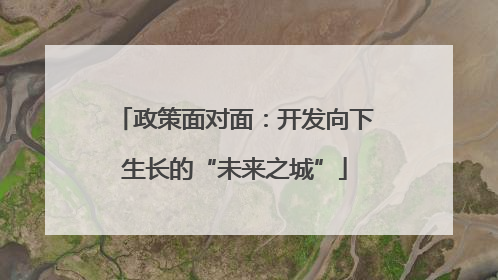 政策面对面：开发向下生长的“未来之城”