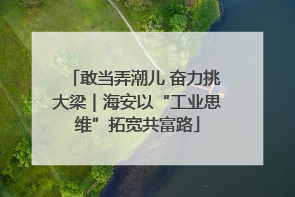 敢当弄潮儿 奋力挑大梁｜海安以“工业思维”拓宽共富路