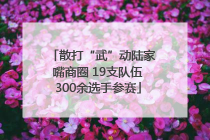 散打“武”动陆家嘴商圈 19支队伍300余选手参赛