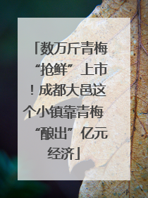 数万斤青梅“抢鲜”上市！成都大邑这个小镇靠青梅“酿出”亿元经济