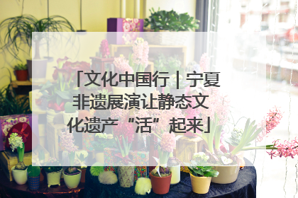 文化中国行｜宁夏 非遗展演让静态文化遗产“活”起来