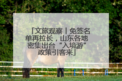 文旅观察丨免签名单再拉长，山东各地密集出台“入境游”政策引客来