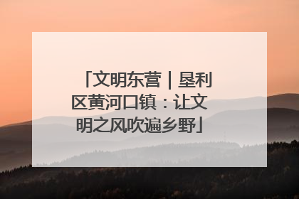 文明东营｜垦利区黄河口镇：让文明之风吹遍乡野