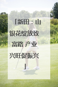 新田：山银花绽放致富路 产业兴旺促振兴