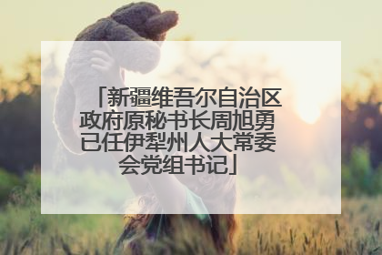 新疆维吾尔自治区政府原秘书长周旭勇已任伊犁州人大常委会党组书记