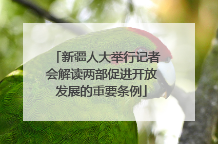 新疆人大举行记者会解读两部促进开放发展的重要条例