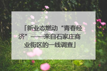 新业态燃动“青春经济”——来自石家庄商业街区的一线调查