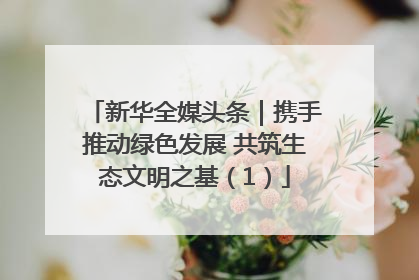 新华全媒头条｜携手推动绿色发展 共筑生态文明之基（1）