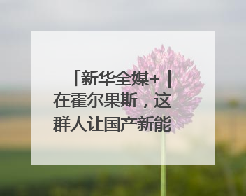 新华全媒+｜在霍尔果斯，这群人让国产新能源汽车“跑”向中亚