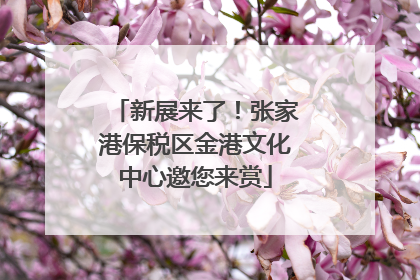 新展来了！张家港保税区金港文化中心邀您来赏